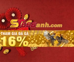 Thưởng 16% khi tham gia đá gà ST666