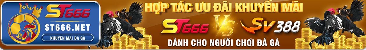 ST666 hợp tác cùng ST666