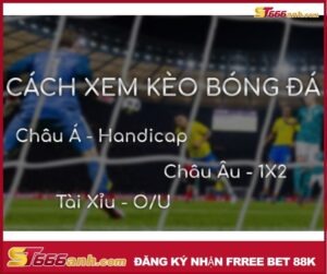 Các loại kèo cược bóng đá, hướng dẫn cá cược bóng đá tại ST666 nhận freebet 88K